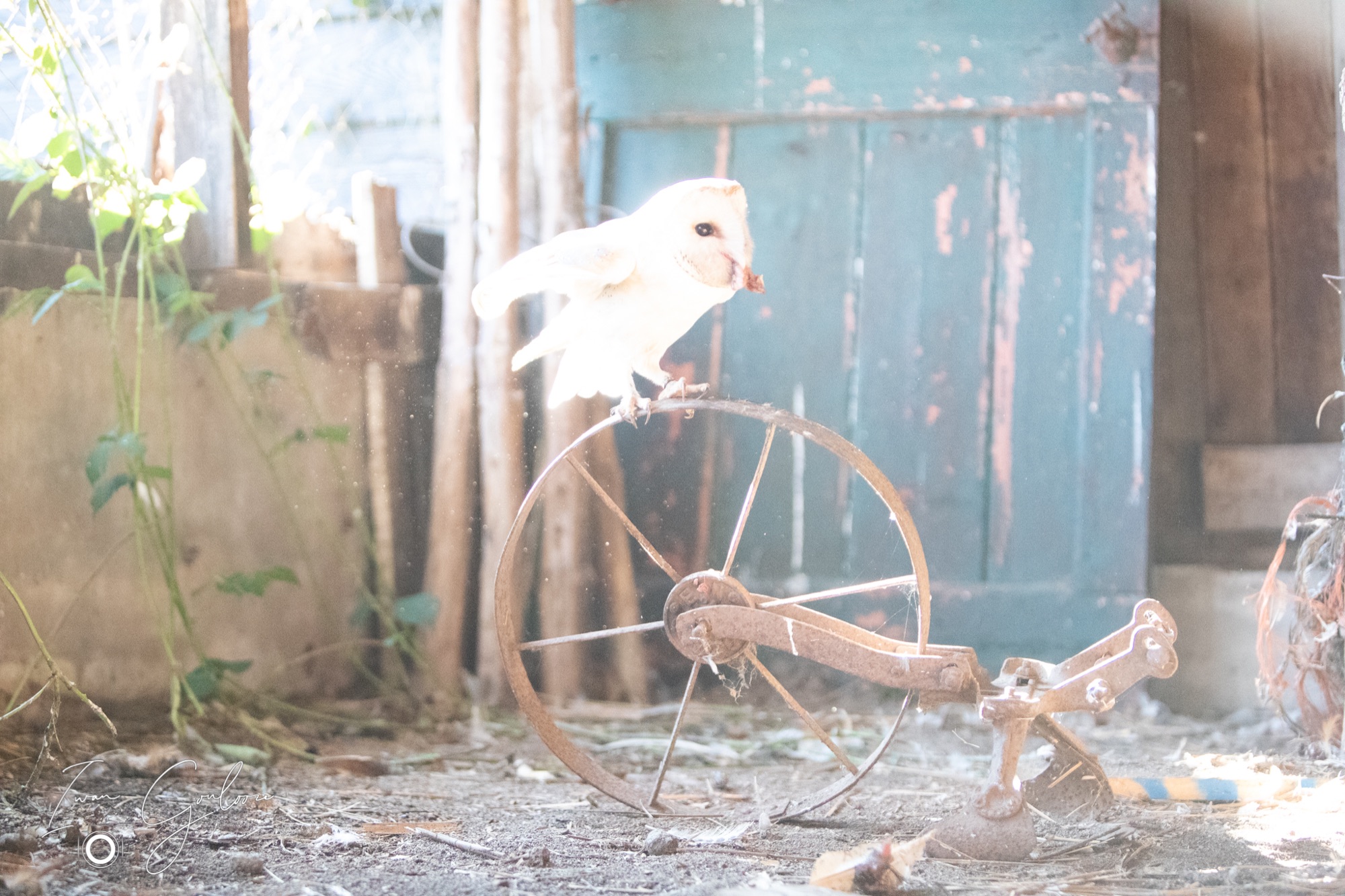 04 maart 2022 161209 1DX44274